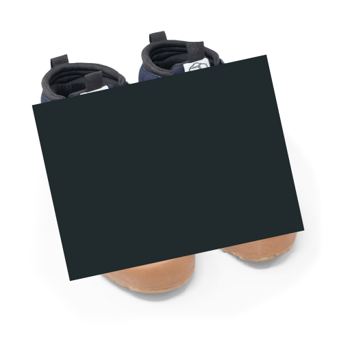 The Elevate-CENSORED UNTIL LAUNCH